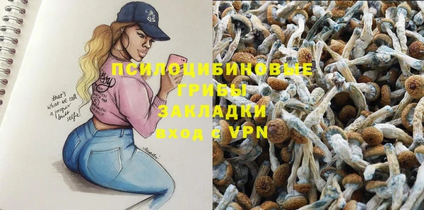 мескалин Богородицк