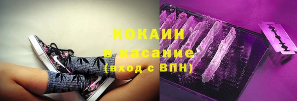 соль ск Богданович