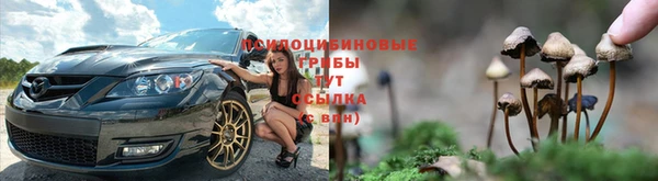 apvp Белоозёрский