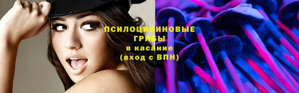 мескалин Богородицк