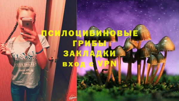 мескалин Богородицк